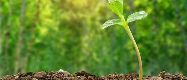 土壤監測布點來了，關于沈陽第三方檢測遼寧機構的布設技術方法需要了解！