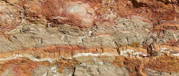 沈陽第三方檢測遼寧機構關于土壤和沉積物、污泥、固廢