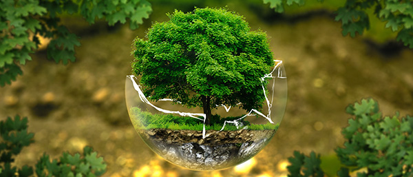 遼寧第三方檢測(cè)機(jī)構(gòu)提示找第三方檢測(cè)機(jī)構(gòu)委托時(shí)需要查看資質(zhì)?