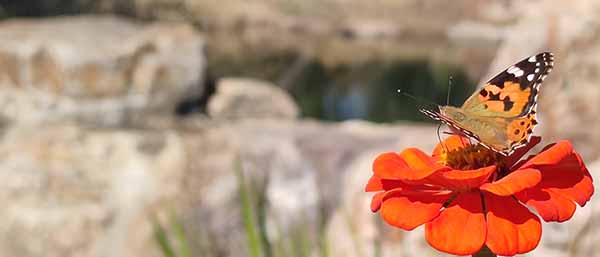 沈陽土壤檢測機構的技術創新:推動環境質量提升的實踐探索 沈陽土壤檢測機構的技術創新:推動環境質量提升的實踐探索