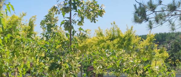 沈陽水質檢測公司有哪些水質檢測服務優點