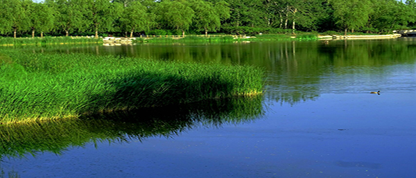 科技創新,保護環境——沈陽環境檢測,守護健康與生態平衡