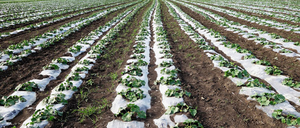 什么是廢水廢氣土壤檢測,沈陽第三方檢測機構告訴您。 什么是廢水廢氣土壤檢測,沈陽第三方檢測機構告訴您。