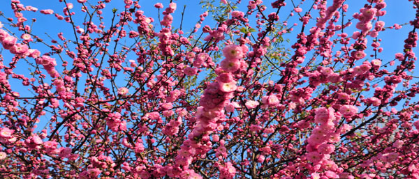 沈陽環境檢測機構解析環境檢測服務的多種類型 沈陽環境檢測機構解析環境檢測服務的多種類型